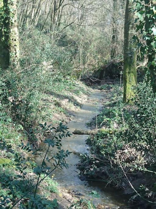 Location Meublee Au Milieu D'Un Ecrin De Verdure Aux Vieux Fours Noaillac Dış mekan fotoğraf