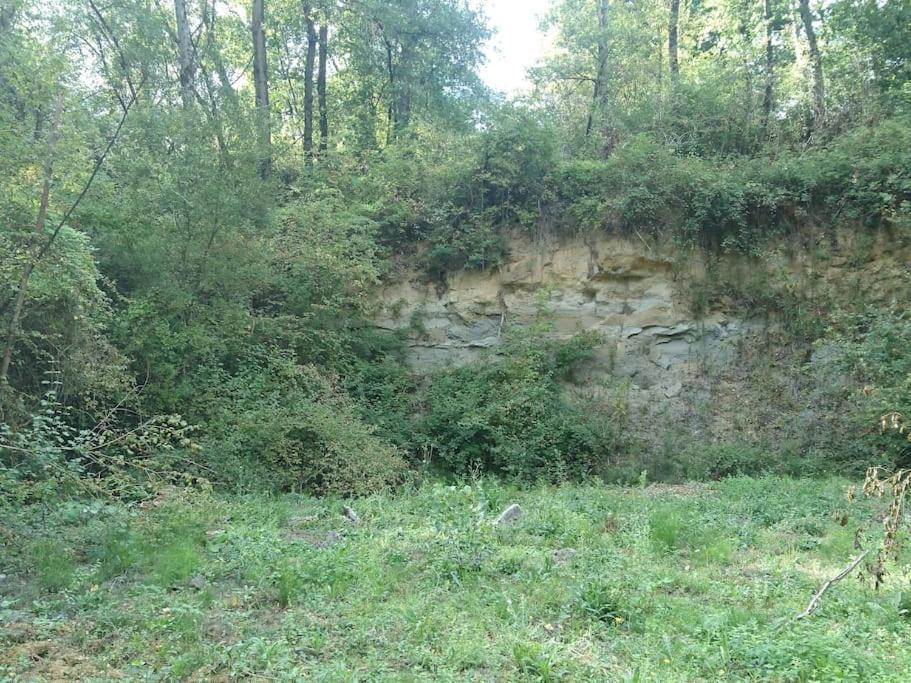 Location Meublee Au Milieu D'Un Ecrin De Verdure Aux Vieux Fours Noaillac Dış mekan fotoğraf